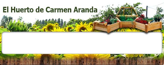 El Huerto de Carmen Aranda